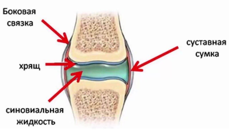 Что такое имплант синовиальной жидкости Что такое имплант синовиальной жидковсти